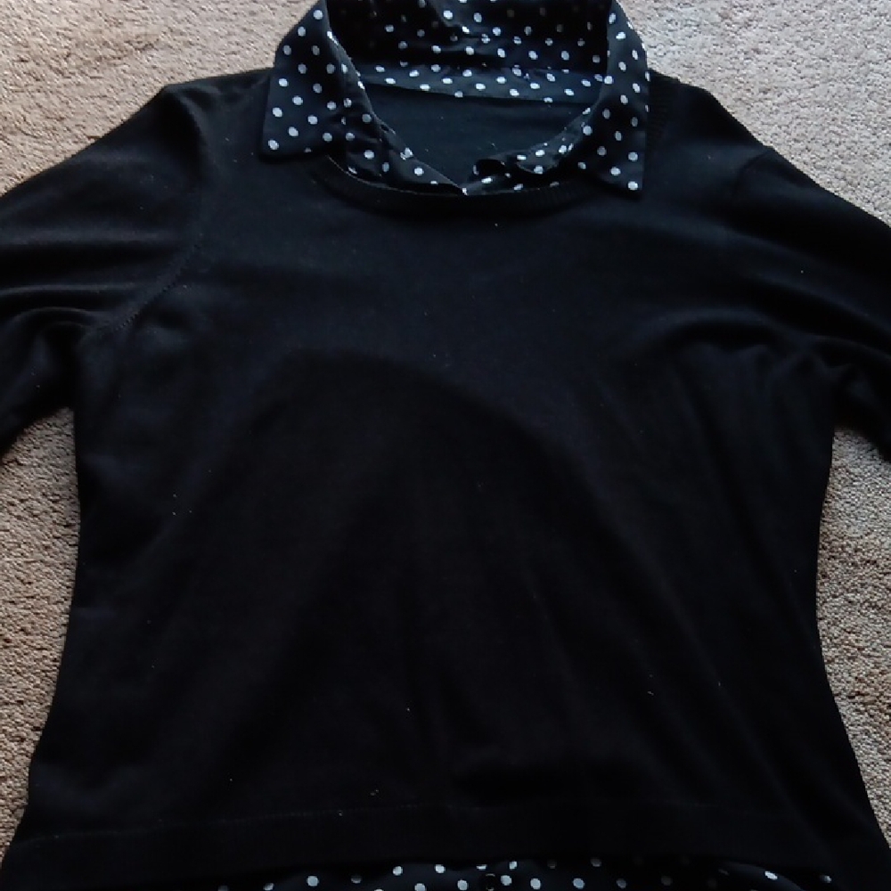 Black Polka Dot Collar Sweater